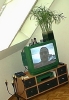 WernerAustralijung.jpg (10741 Byte)