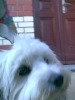 max1.jpg (9616 Byte)