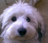 max2.jpg (11206 Byte)