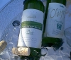 thewine.jpg (12704 Byte)
